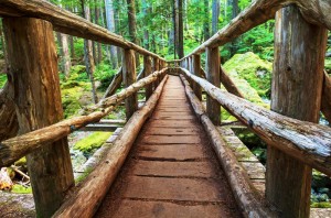 path