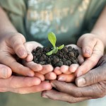 plant-with-hands