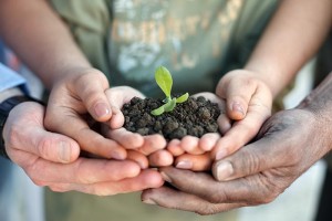 plant-with-hands
